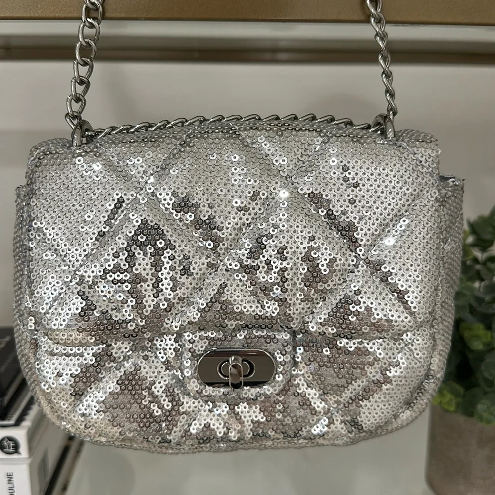 Silver sequin purse